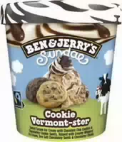Ben & Jerrys Sundae Cookie Vermont Ster