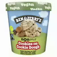 Ben & Jerrys Vegan Cookies On Cookie Dough Non Dairy
