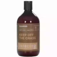 Benecosbio Shampoo Normales Haar Bio Hanf