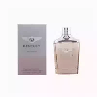 Bentley Infinite Eau De Toilette 100ml Spray 0,1 l