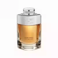 Bentley Intense For Men Eau De Parfum 100ml Spray 0,1 L