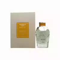 Bentley Wild Vetiver Eau De Parfum Spray
