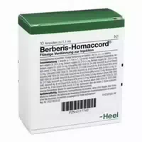 Berberis Homaccord Ampullen