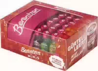 Berentzen Minis 24x0,02l Pet Gürtel Inklusive
