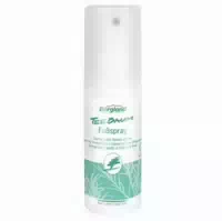 Bergland Teebaum Fussspray 100 ml Spray