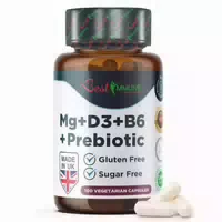 Best Immune Magnesiumlaktat Präbiotischer Komplex Mit Vitamin B6, D3 Und Inulin