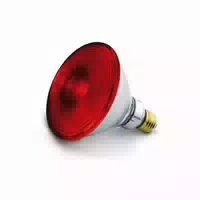 Beurer Für Il 21 Und Sil16 150w Ersatz Infrarotlampe