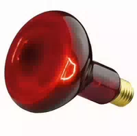 Beurer Glühbirne Infrarotlicht 100w