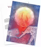 Vedacard Pitta | Dr Med Michalzik