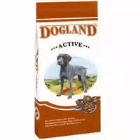 Dogland Active
