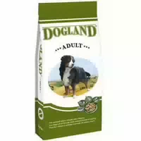 Dogland Adult