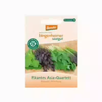 Bingenheimer Saatgut Pikantes Asia Quartett, Salatmischung
