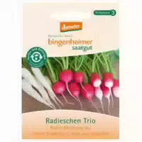 Radieschen Trio