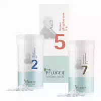 Energie Plus Kombi Von Pflüger