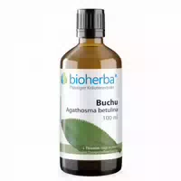 Buchu Agathosma Betulina Extrakt Tropfen 100 ml