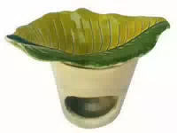 Duftlampe Grünes Blatt Frische Pzn 18297489