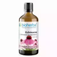 Echinacea Extrakt Tropfen 100 ml