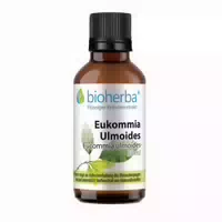 Bioherba Eukommia Ulmoides Tropfen Tinktur