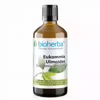 Eukommia Ulmoides Extrakt Tropfen 100 ml