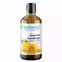 Garcinia Cambogia Extrakt Tropfen 100 ml