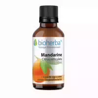Bioherba Grapefruit Citrus Paradisi Tropfen Tinktur