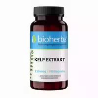 Bioherba Klettenwurzel Extrakt Kapseln
