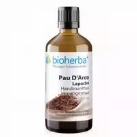 Lapacho Pau Darco Extrakt Tropfen 100 ml