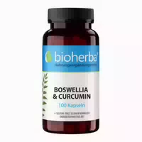 Bioherba Boswellia & Curcumin Kapseln 100 st