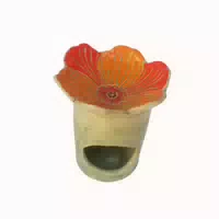 Duftlampe Orange Blume Weisheit Pzn 18297466