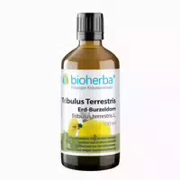 Bioherba Eberraute Artemisia Abrotanum L Tropfen Tinktur 100 Ml
