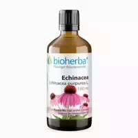 Echinacea Extrakt Tropfen 100 ml