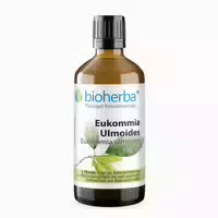 Eukommia Ulmoides Extrakt Tropfen 100 ml