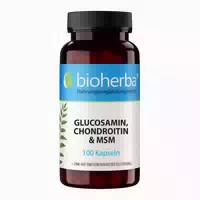 Bioherba Glucosamin Chondroitin & Msm Kapseln 100 St