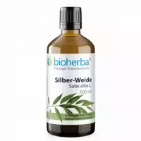 Ginkgo Biloba Extrakt Tropfen 100 ml
