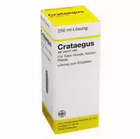 Crataegus Ad Usum Vet 50 Ml Lösung 250 Ml Dilution
