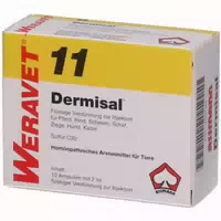 Dermisal 11 Ampullen Vet 10x2 ml Ampullen