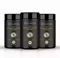 Biolaviva Bio Schwarzkümmel Extrakt Kapseln mit 5 000 mg Thymochinon | Laborgeprüft | Vegan