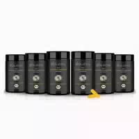 Biolaviva Schwarzkümmel Extrakt mit 5% Thymochinon| 6x60 stk 360 st