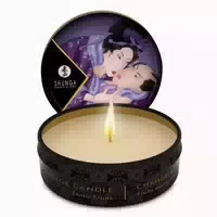 Shunga Erotic Art Mini Caress Exotische Früchte 170 Ml
