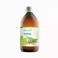 Biostile Niere Sirup – Kräutergetränk für Niere & Blase mit Goldrute