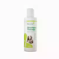Biostile Shampoo Therapie – Anti Schuppen Shampoo mit Teebaumöl & Biotin