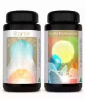 Pureveda Starter Dosha Harmonizer | 180 Kapseln | Dr Med Michalzik