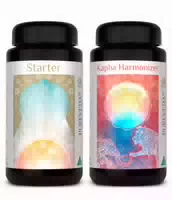 Pureveda Starter Kapha Harmonizer | 180 Kapseln | Dr Med Michalzik