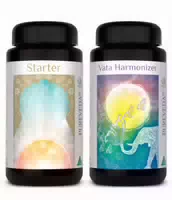 Pureveda Starter Vata Harmonizer | 180 Kapseln | Dr Med Michalzik