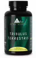 Tribulus Terrestris | 1200 Mg | 90 Kapseln | Dr Med Michalzik