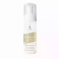 Bioturm Reinigungsschaum Nr 125 150 ml