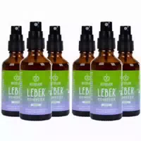 Bitterliebe Leber Spray Natürliche Unterstützung der Leberfunktion mit Cholin und Bitterstoffen