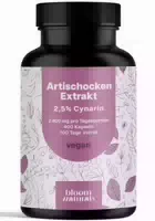 Bloom Naturals Lungenkraut Kapseln Hochdosiert 120 Kapseln 60 Tage Vorrat