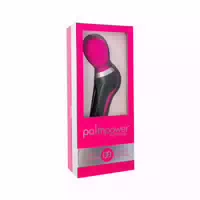 Palmpower Extreme Ergonomischer Massagestab