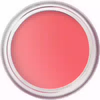 Bobbi Brown Pot Rouge Velvet Matte 8,5 g Tea Rose